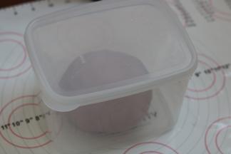 9.进行第一次发酵