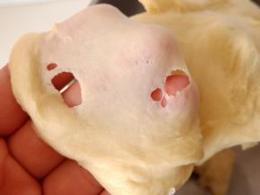 先一档搅拌，成团后调至二档揉，10分钟后，可以拉出这样的膜，破洞边缘呈锯齿状。这时放入黄油和盐，继续揉面。