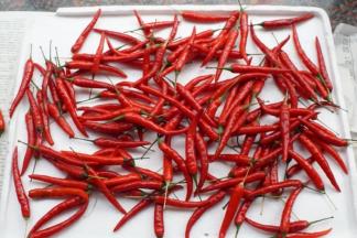辣椒洗净后放在阳台通风处风干