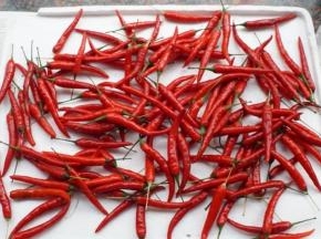 辣椒洗净后放在阳台通风处风干