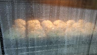 时间到后再焖2分钟
