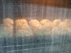 时间到后再焖2分钟