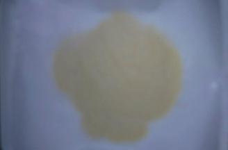 擀成厚度为1~2mm的薄饼，放入冰箱冷藏备用