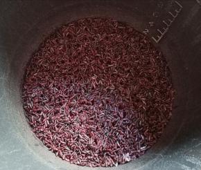 先做好紫米馅：紫米淘洗干净，放入电高压锅加适量清水开启煮饭模式。