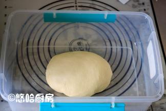 面团收光滑，放入保鲜盒中，扣好盖子室温下进行一发，室温23度。