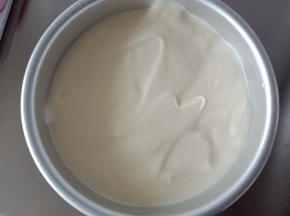 12.倒入6寸模具中8分满即可，用刮刀将表面刮平，轻震几下，震去大气泡
