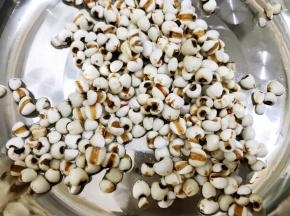 薏仁淘洗干净