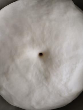 面团发酵至二倍大小时即可