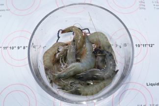 鲜虾室温解冻，洗净