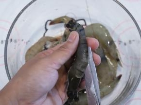 虾背用剪刀剪开，不要剪断，留虾尾处，去掉虾线，