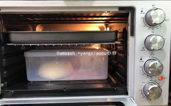 揉圆放进盒子内，送进烤箱，调至发酵区，进行第一次发酵