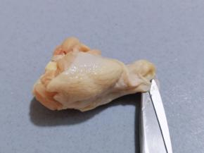 首先将鸡翅根洗干净，从剪刀处将一圈剪开，肉与骨分离！（用刀切也可以，从剪刀处平切一圈）