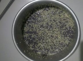 撒上白芝麻