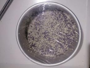 盖保鲜膜室温醒发2小时左右