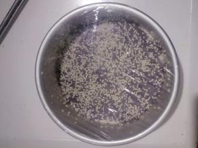 盖保鲜膜室温醒发2小时左右