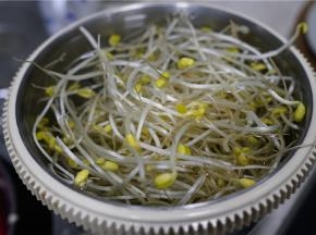 用细盐水泡洗一下黄豆芽，然后再控水备用。