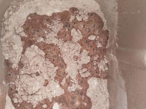 除黄油和巧克力豆外所有材料放入面包机揉面。