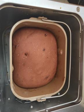 发酵到8分满，2倍大。启动烘烤模式，烤40分钟。