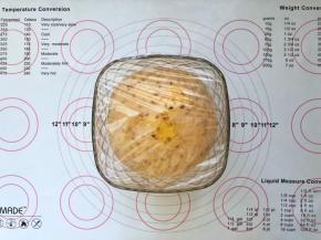 8、发酵至2倍大。