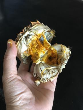 黄澄澄的膏，太诱人了