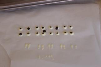 用白色巧克力挤出眼睛和牙齿