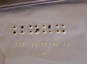 用白色巧克力挤出眼睛和牙齿