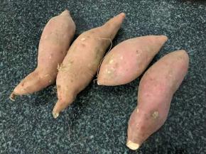 准备大小均匀地瓜