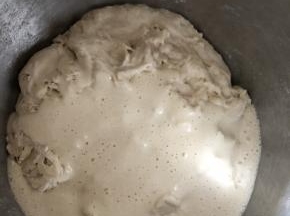 放入盐和酵母 或者活力充沛的天然酵母