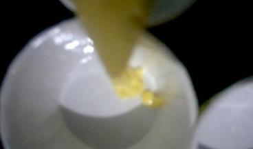 将蛋糕糊挤入纸杯中，约8·5分满