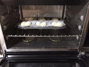 再次放入蒸烤箱中层进行发酵，约20分钟（具体时间看发酵情况）