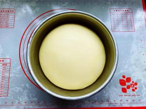 冷藏发酵10个小时，至面团2倍大即可取出。