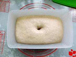 将揉好的面团从面包机中取出，放入保鲜盒里，盖上盖子，放在28度的温暖环境中进行基础发酵，发酵至两倍大即可，手指沾粉在面团中间戳一个洞，洞洞不回缩、不塌陷就表示表示到位。