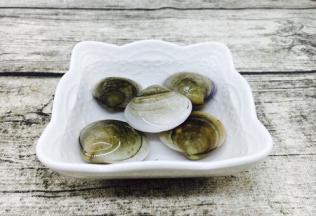 青蛤用清水浸泡一段时间 浸泡时间要看你所买的青蛤含沙子的多少。