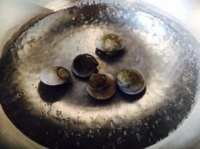 青蛤凉水下锅，青蛤口开了就捞出来，捞出来马上过凉水，沥干水分备用。