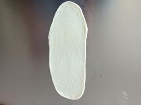 17. 继续包白色的面团
