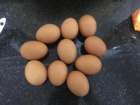 2. 冰箱冷藏的鸡蛋10个。