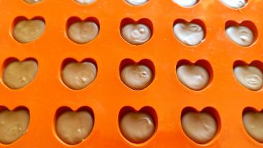 室温放置30分钟后脱模