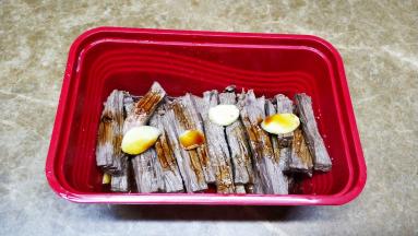 再切成宽长条，用姜片、酱油、料酒、少许盐、糖捞均匀放冰箱腌一晚