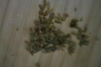 把葡萄干洗净晾干水分切碎加入