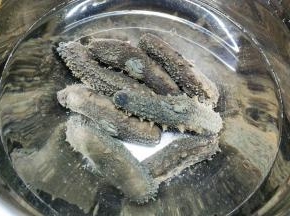 准备泡发好的海参