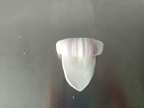 14. 反面向上，将面团从上往下卷起来
