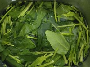 菠菜洗净