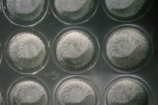 模具刷一层黄油涂一层干面粉防粘(不粘模忽略)，直径6.5cm,这个方子可做9个蛋挞皮