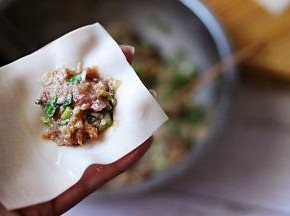 取一张馄饨皮、放入适量调制好的馅料。