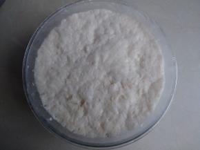 盖上保鲜膜，放在温暖的地方发酵至4倍大，内部呈蜂窝状。因为当天室温不高，所以我将酵头放在烤箱里，用发酵档发酵了90分钟左右