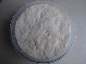 盖上保鲜膜，放在温暖的地方发酵至4倍大，内部呈蜂窝状。因为当天室温不高，所以我将酵头放在烤箱里，用发酵档发酵了90分钟左右