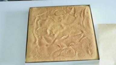 放入预热至170度的烤箱烘烤22-25分钟，时间与温度仅供参考，蛋糕烤好的状态应该是轻拍表面只剩下细微的沙沙声，即可出炉，出炉的时候要震烤盘震出热气