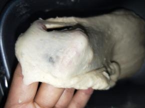 所有材料混合均匀，揉出比较光滑的面团【扩展阶段，面团有延伸性】