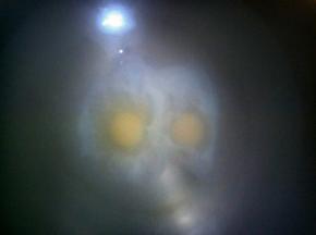 在水煮沸之前，打入两个鸡蛋制作荷包蛋