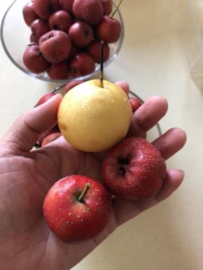 选饱满的山楂 我也是看到这山楂诱人 盲目的买了一大包 回来不知道怎么消耗 才想起来做这个 比南果梨略小一点